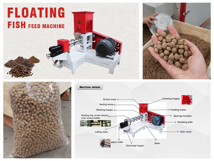 azeus fish feed production line machine